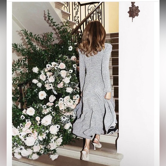 NWT Antonio Melani
x Born on Fifth Celine Metallic Midi Skirt - Picture 4 of 16